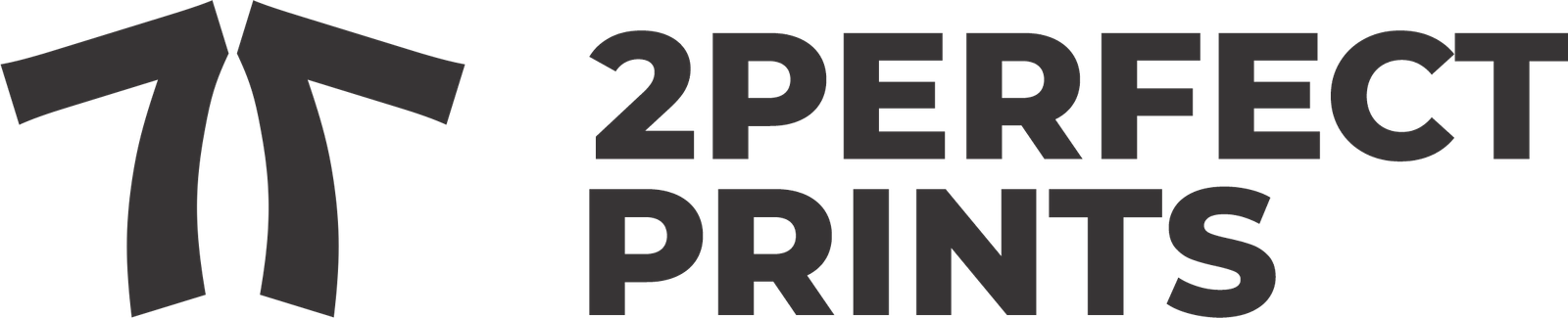 2pp website logo